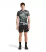 Тениска Icebreaker Merino 125 Cool Lite Speed SS Tee Motion AOP M's